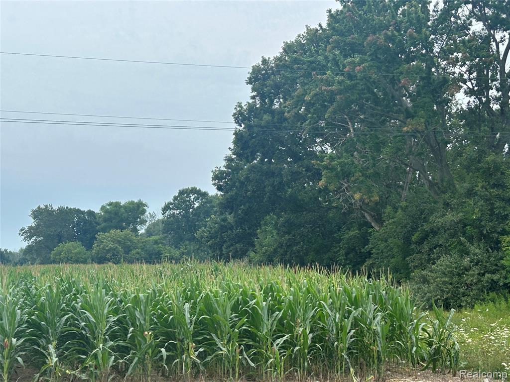 4502 Cemetery Road Property Photo 59