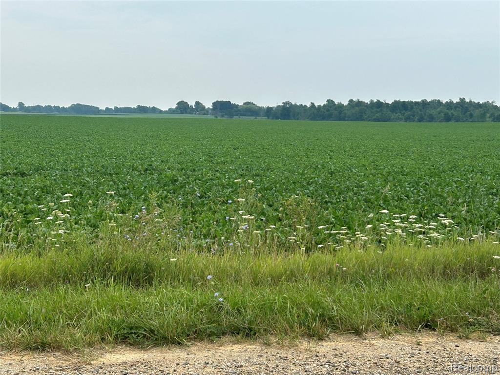 4502 Cemetery Road Property Photo 60