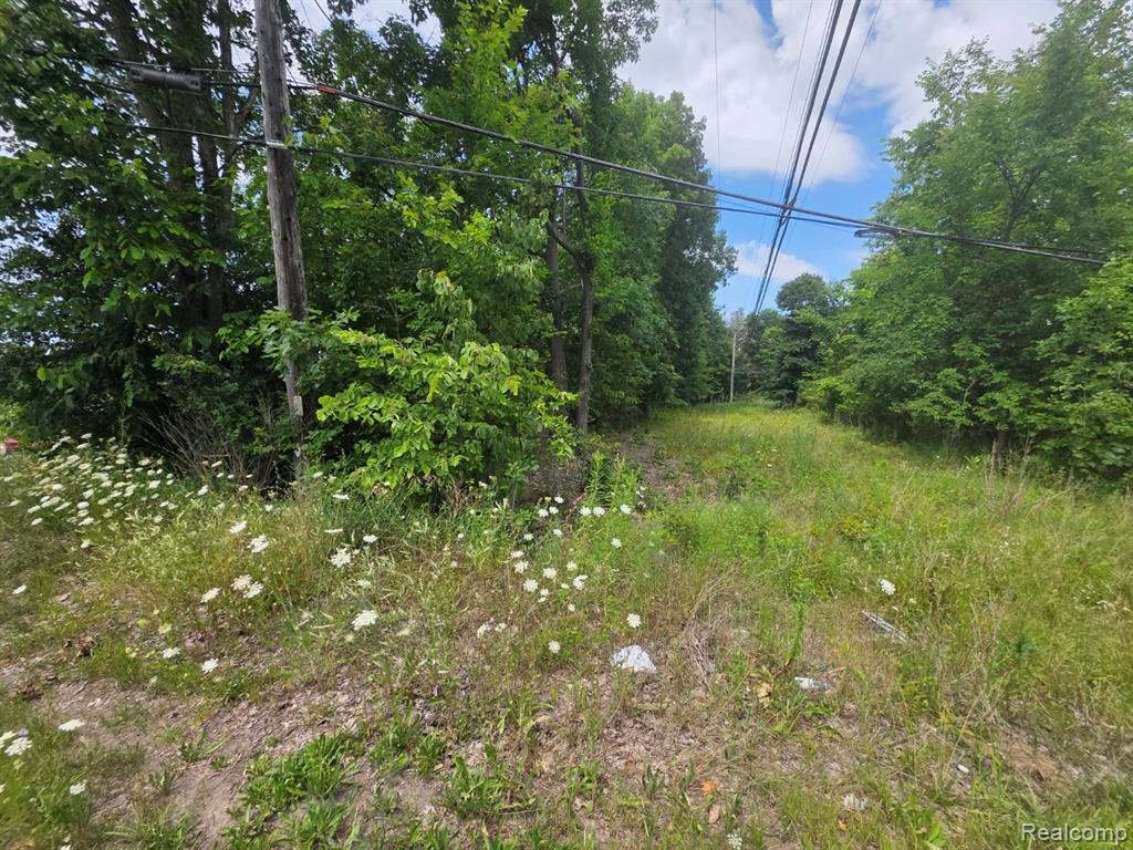 113 Devonshire Drive Property Photo 2
