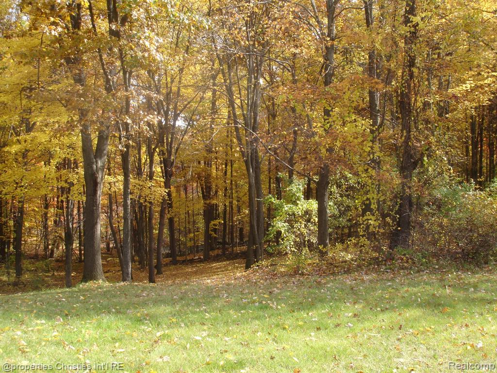 1451 Barrwood Trail Property Photo 6