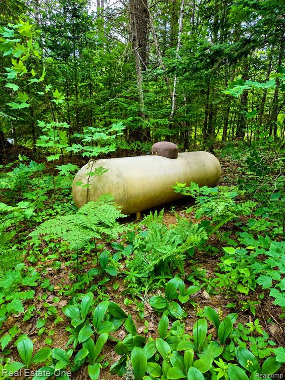 11557 Sullivan Creek Trail Property Photo 23