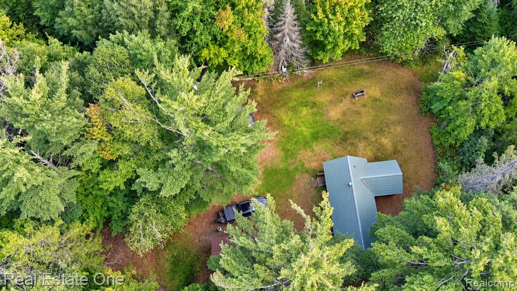 11557 Sullivan Creek Trail Property Photo 27