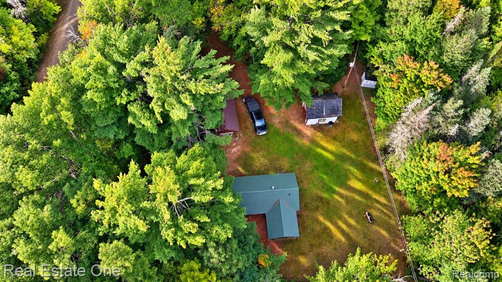 11557 Sullivan Creek Trail Property Photo 28