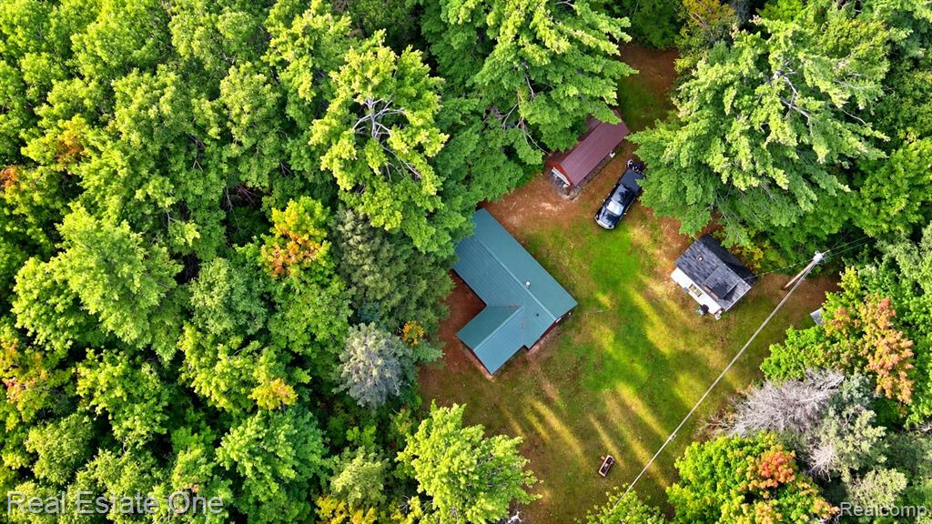 11557 Sullivan Creek Trail Property Photo 29