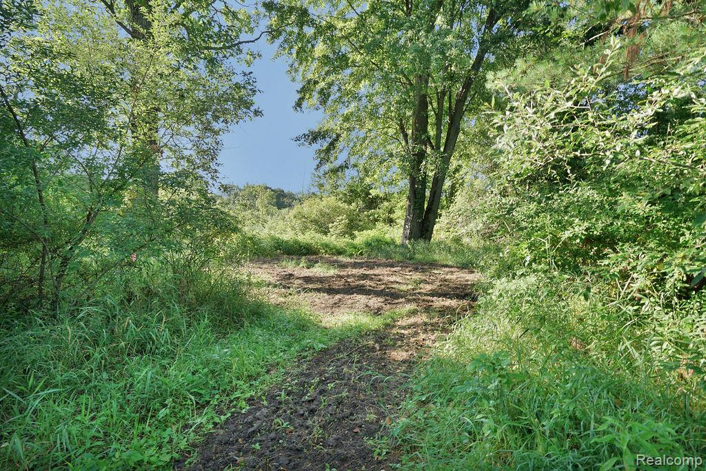 Vl Skelton Road Property Photo 38