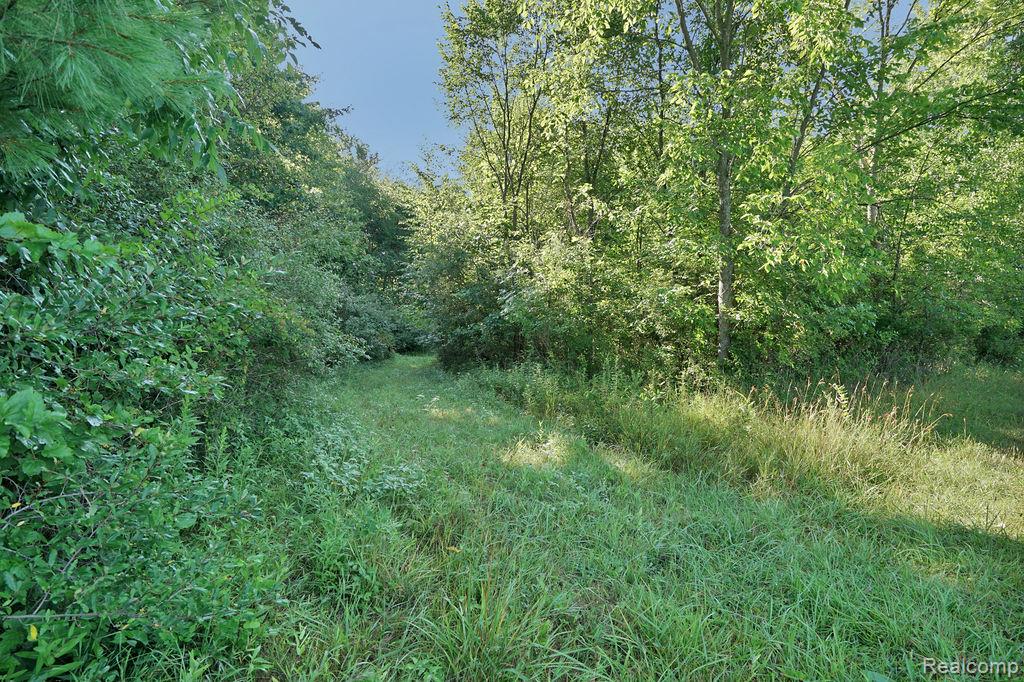 Vl Skelton Road Property Photo 40