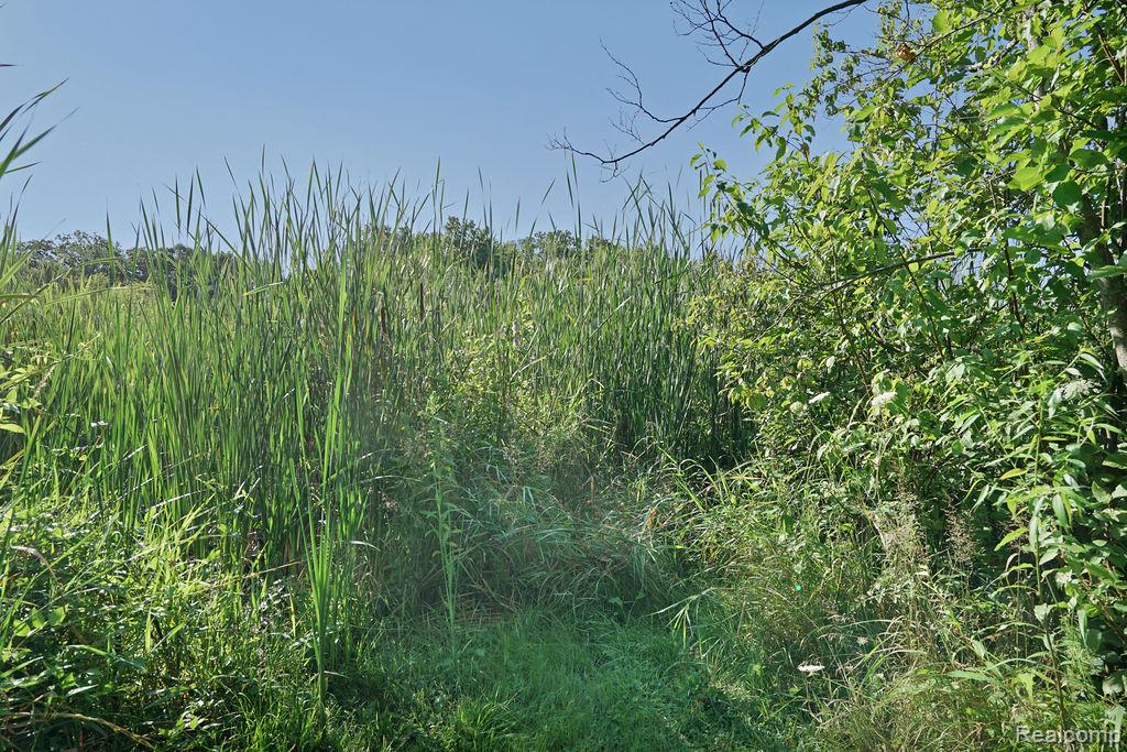 Vl Skelton Road Property Photo 41