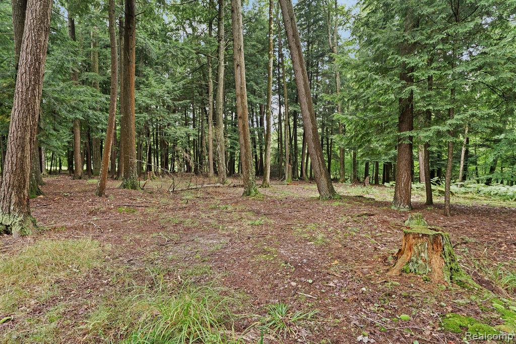 9670 S County Line Road Property Photo 84