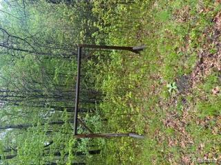 5055 Adams Road Property Photo 9