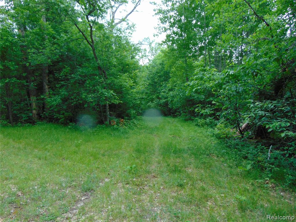 5055 Adams Road Property Photo 14