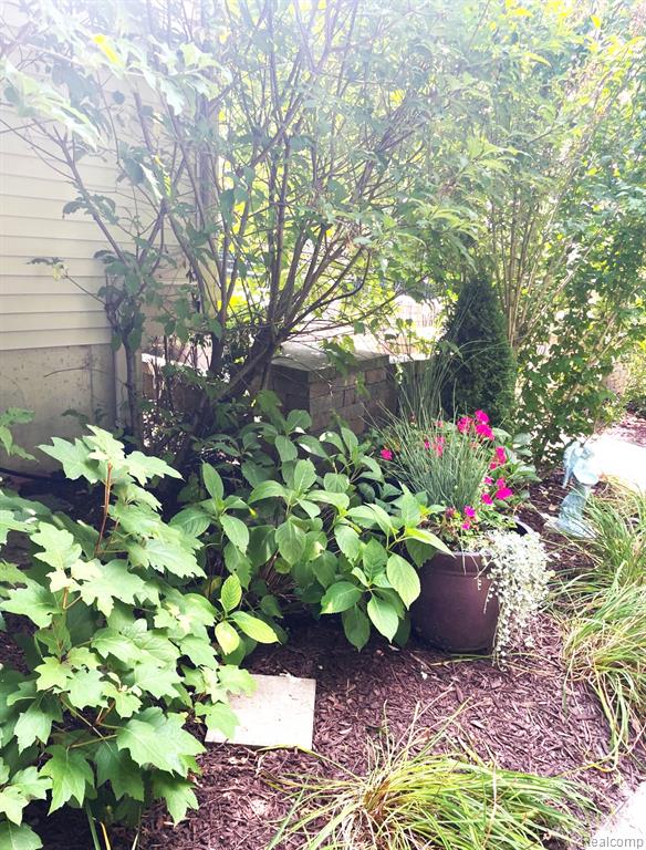 5818 Pine Trace Court Property Photo 61