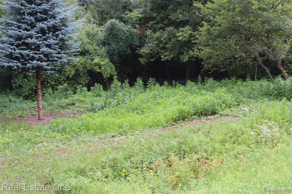 Lot 149 Greensboro Way Property Photo 1