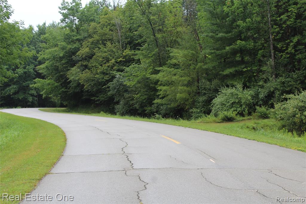 Lot 149 Greensboro Way Property Photo 2