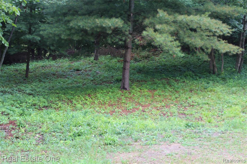Lot 149 Greensboro Way Property Photo 3
