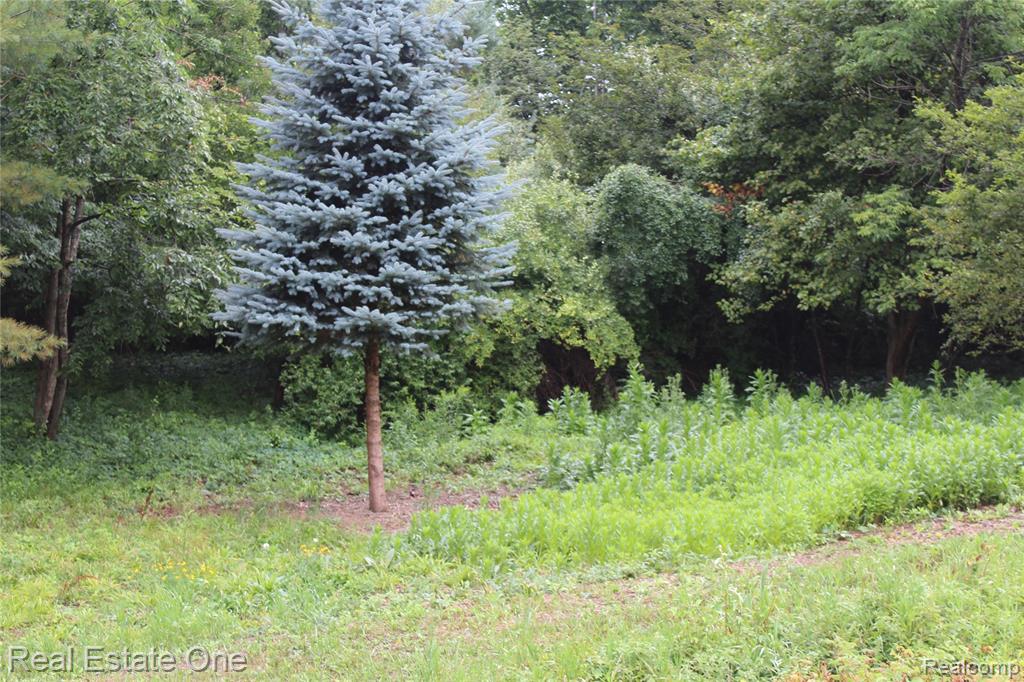 Lot 149 Greensboro Way Property Photo 4