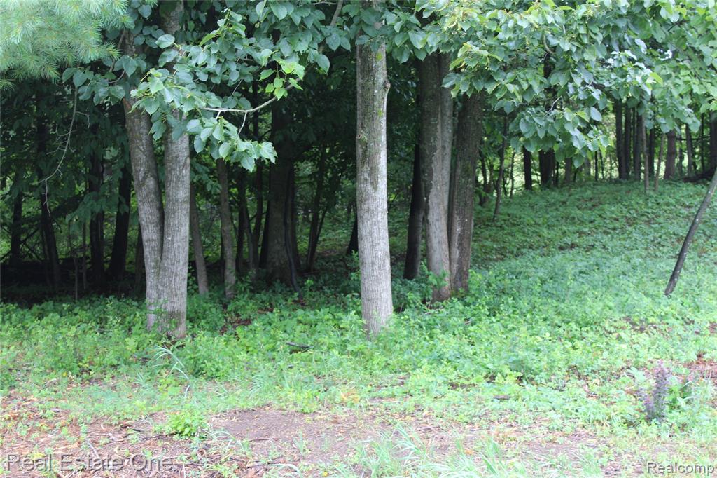 Lot 149 Greensboro Way Property Photo 5