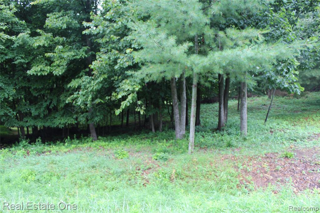 Lot 149 Greensboro Way Property Photo 6