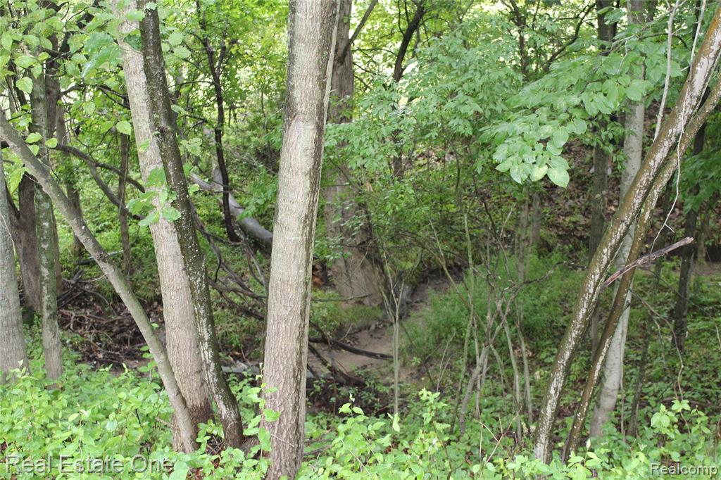 Lot 149 Greensboro Way Property Photo 10