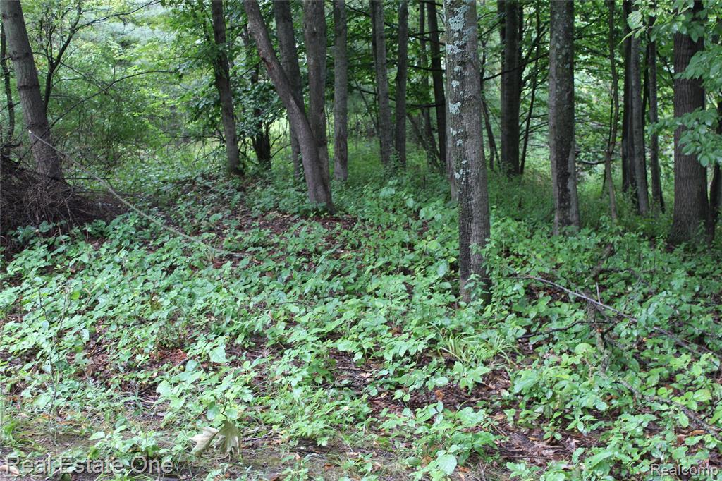 Lot 149 Greensboro Way Property Photo 11