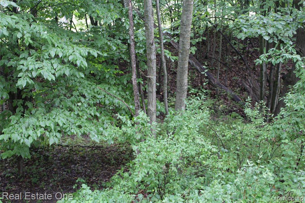 Lot 149 Greensboro Way Property Photo 12