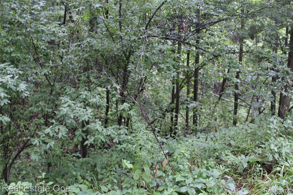 Lot 149 Greensboro Way Property Photo 13