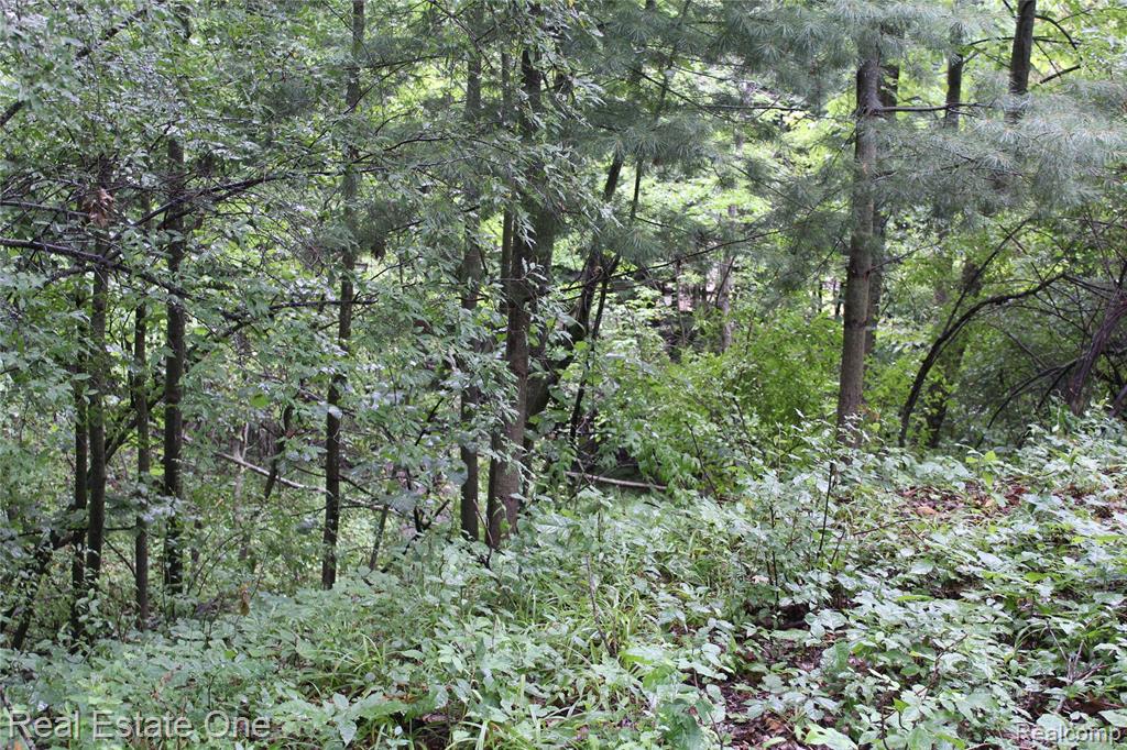 Lot 149 Greensboro Way Property Photo 14