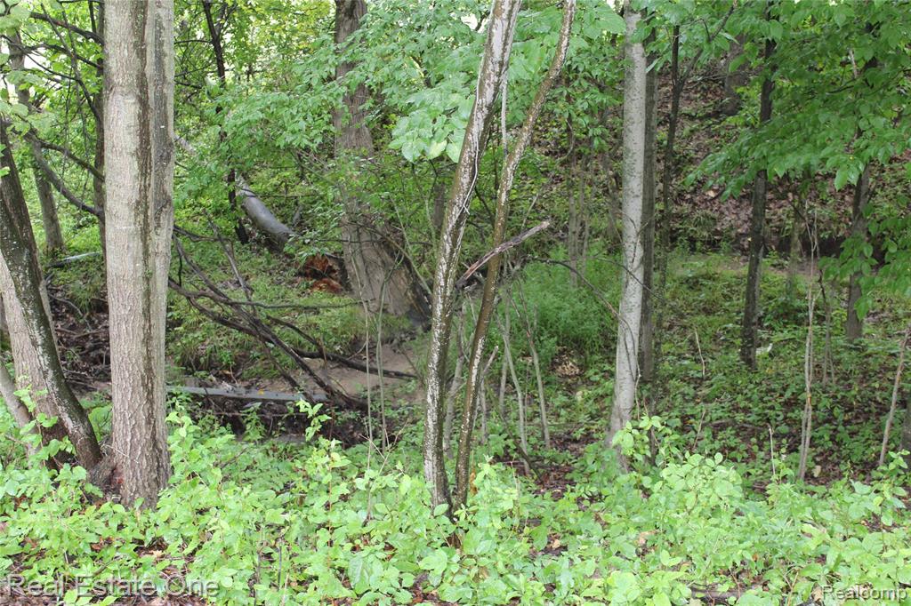 Lot 149 Greensboro Way Property Photo 15