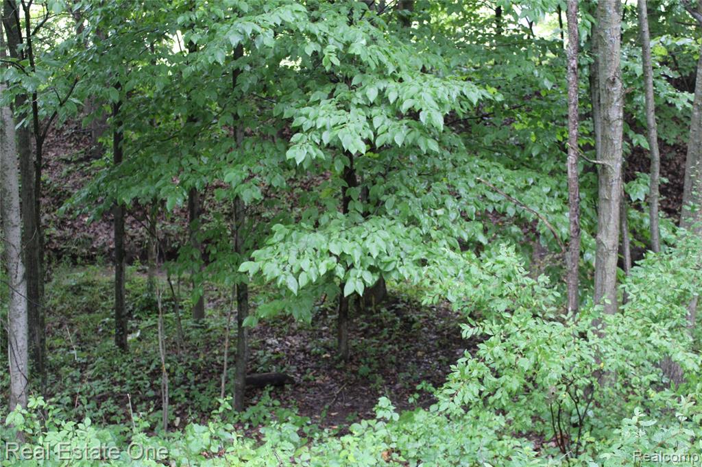 Lot 149 Greensboro Way Property Photo 16