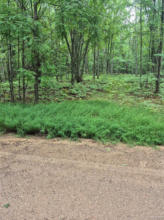 162 (lot 32) West Ridge Circle Property Photo 1