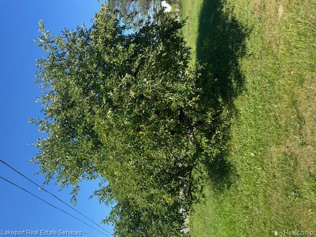 8485 Yale Road Property Photo 6
