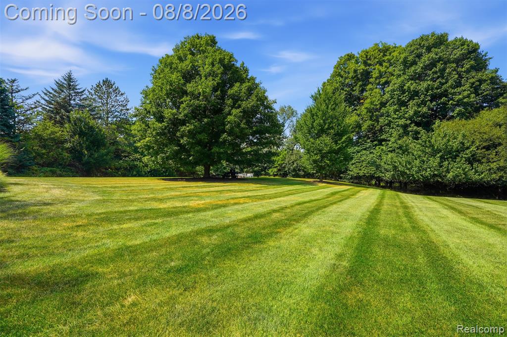 8861 Pleasantview Property Photo 65