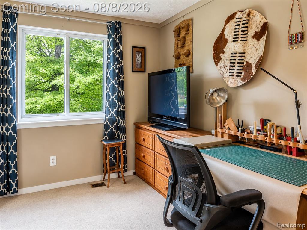 8796 Coyle Drive Property Photo 20