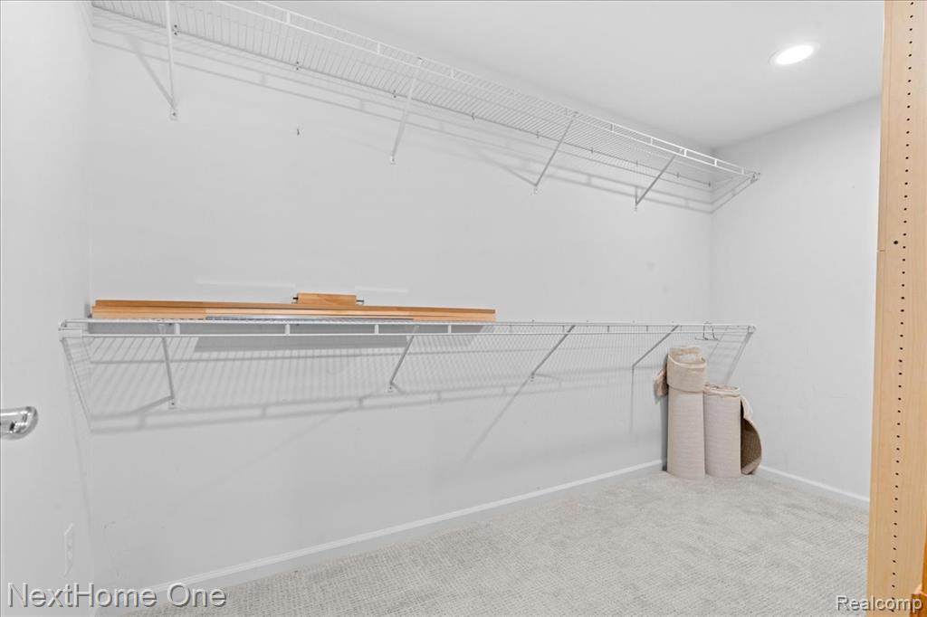 10083 Ridge Run Street Property Photo 22