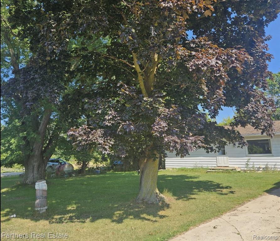 1382 Lucy Road Property Photo 11