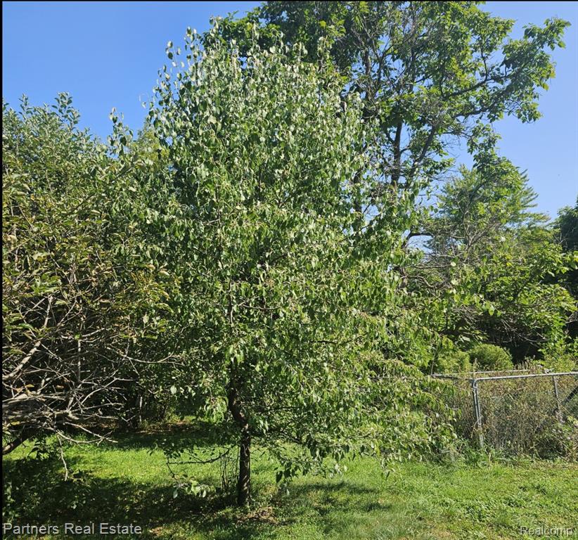 1382 Lucy Road Property Photo 12