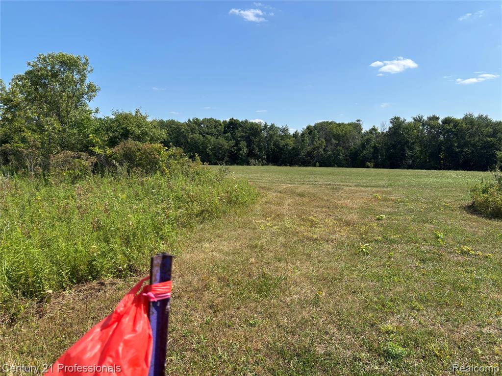 0000 Callis Rd. Property Photo 39