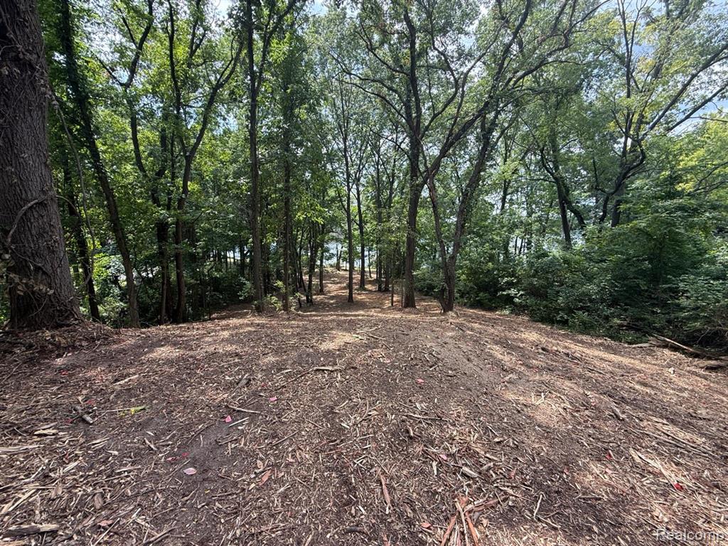 0 E Coon Lake Trail Property Photo 4