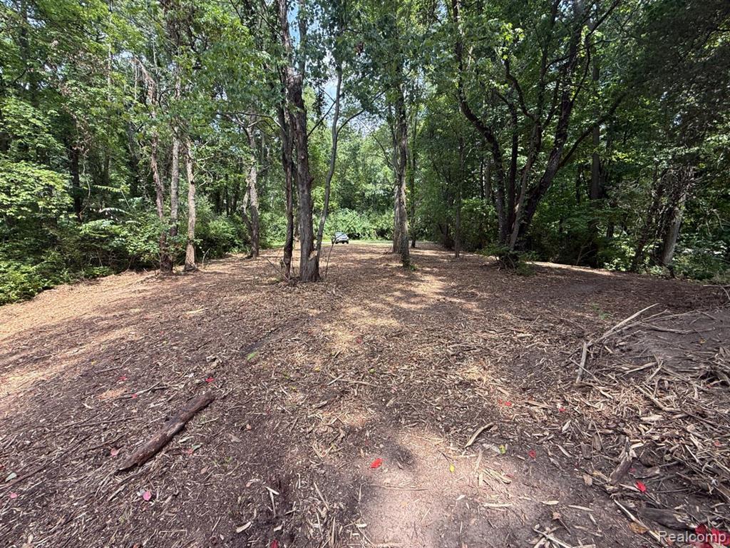 0 E Coon Lake Trail Property Photo 5