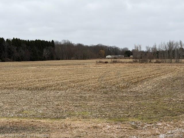 VL N Branch Road Property Photo 1