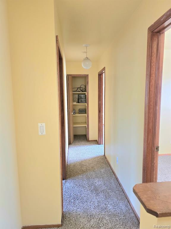 8702 Hazelton Street Property Photo 11