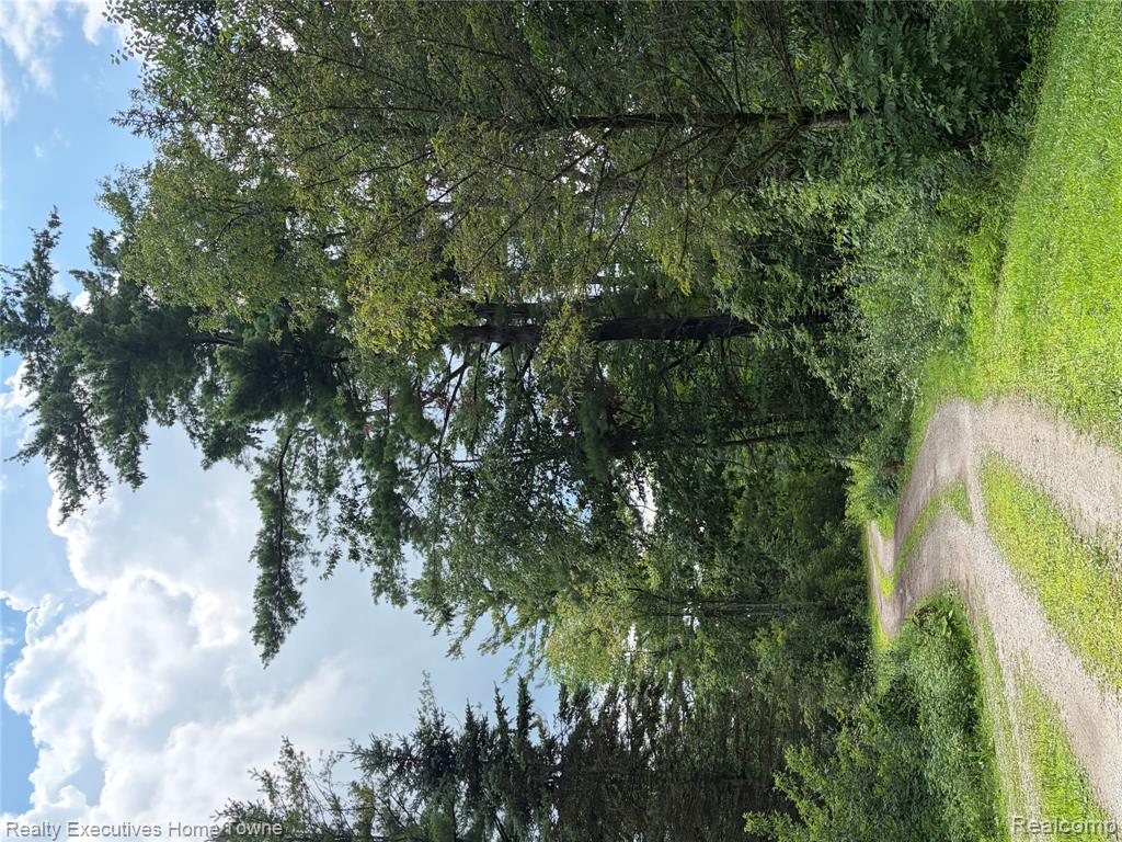 6100 Frith Road Property Photo 3