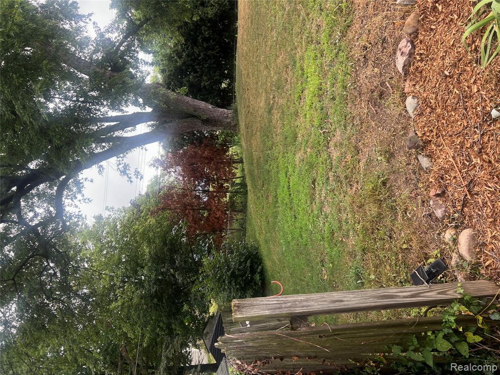 161 Edith Street Property Photo 29