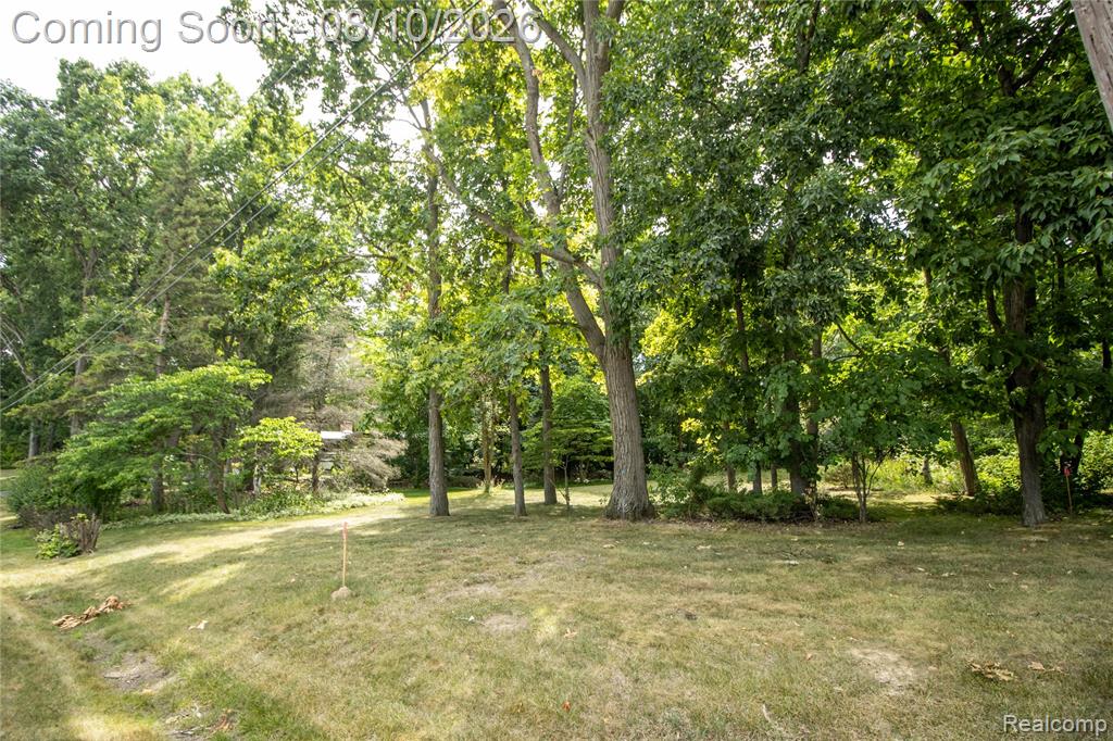 9302 Green Tree Drive Property Photo 54