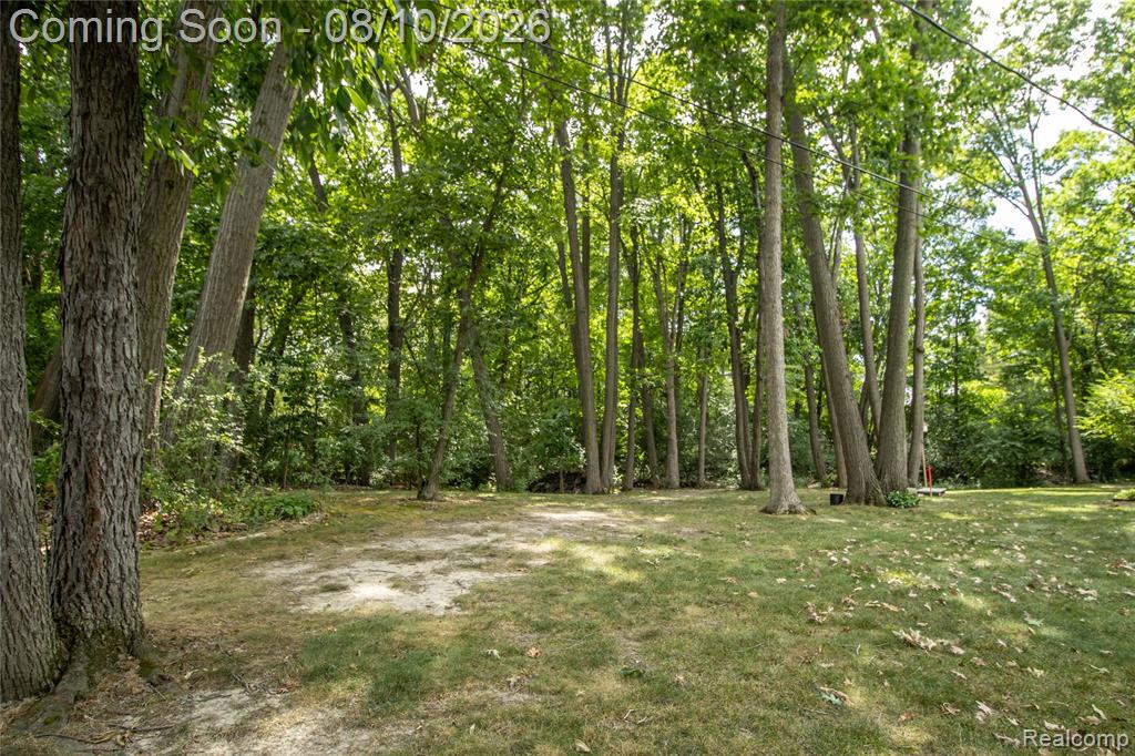 9302 Green Tree Drive Property Photo 57