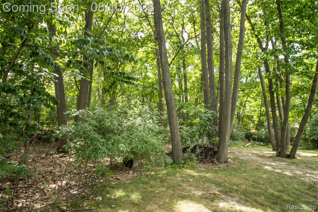 9302 Green Tree Drive Property Photo 58