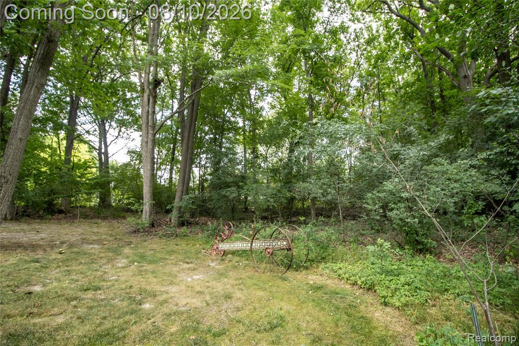 9302 Green Tree Drive Property Photo 59