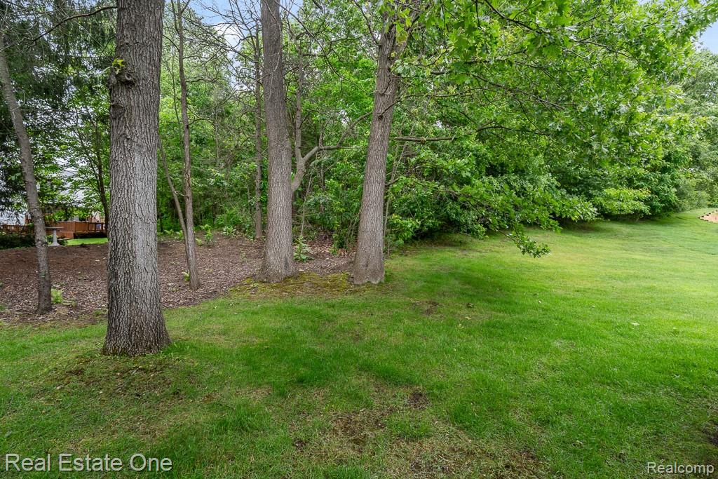 6595 Scenic Pines Court Property Photo 33