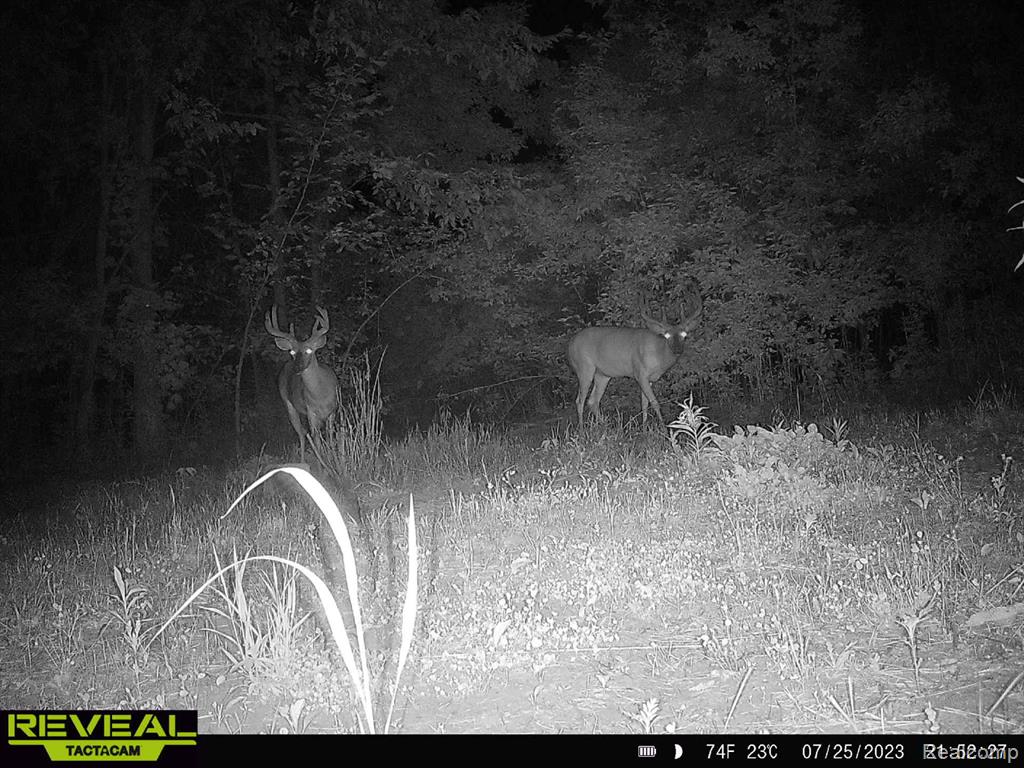 9160 Steffas Road Property Photo 33