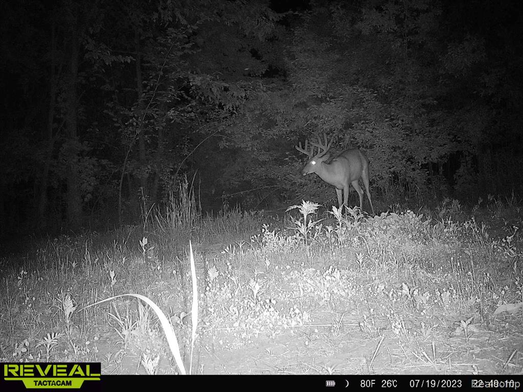 9160 Steffas Road Property Photo 34