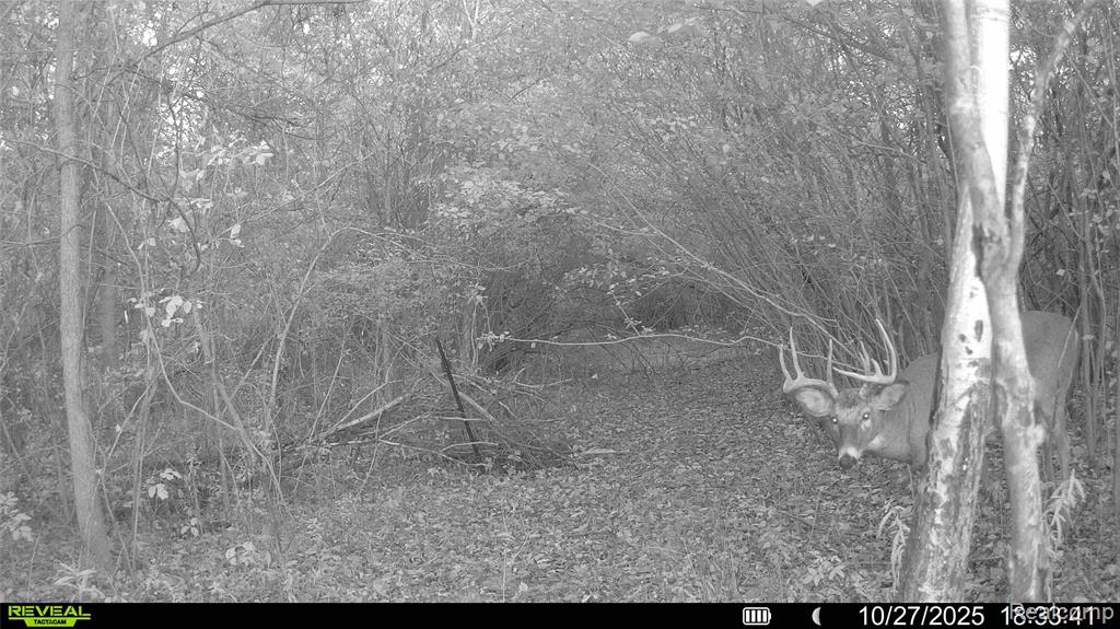 9160 Steffas Road Property Photo 35
